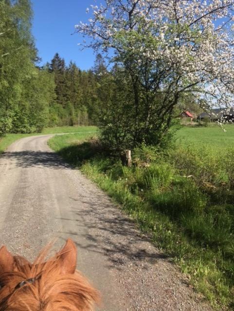 Stenlid - Med Naturen Och Lugnet I Fokus Veddige Kültér fotó