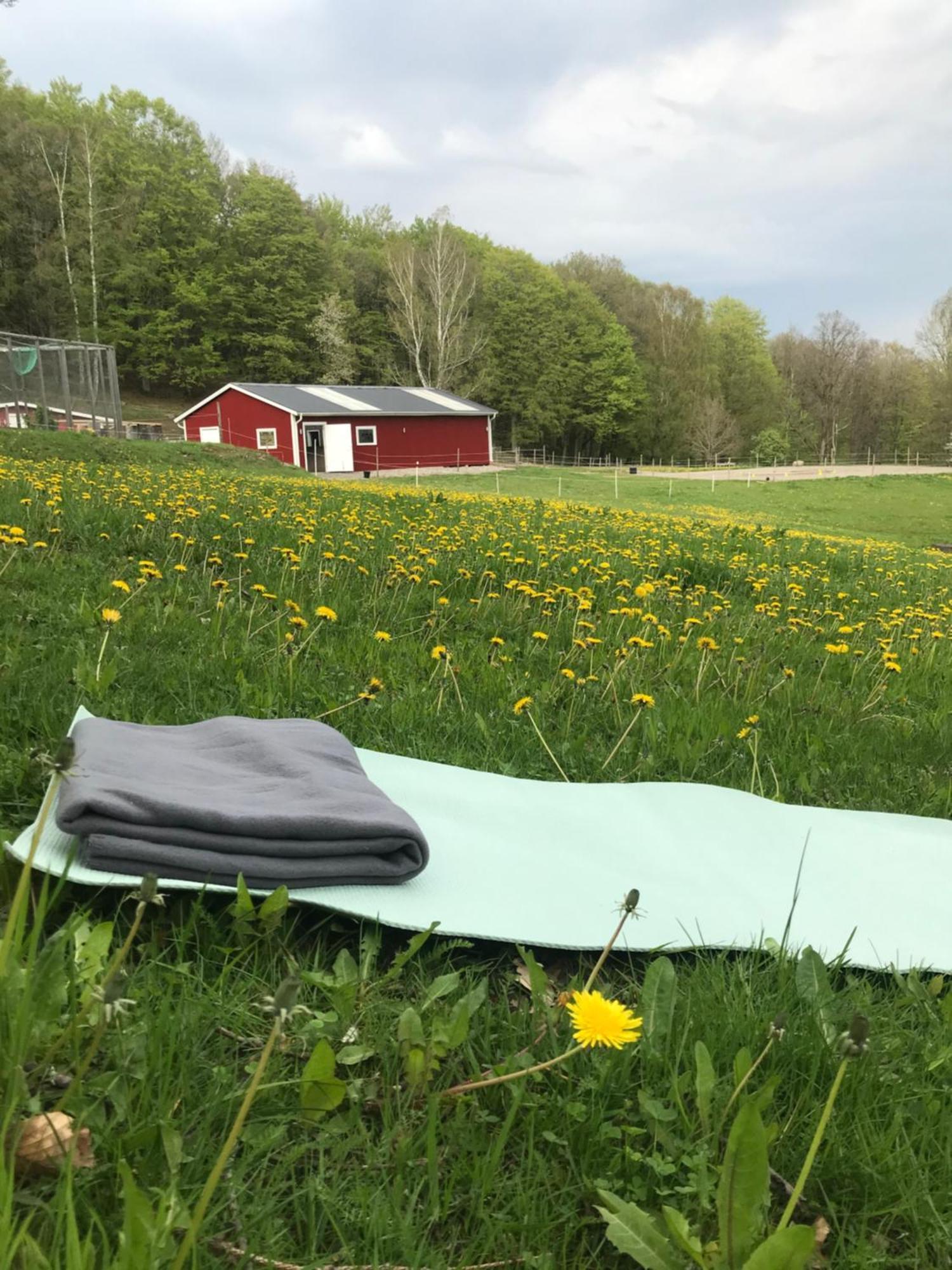 Stenlid - Med Naturen Och Lugnet I Fokus Veddige Kültér fotó