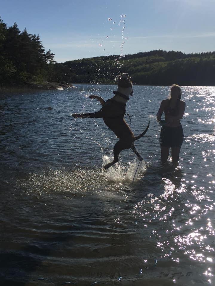 Stenlid - Med Naturen Och Lugnet I Fokus Veddige Szoba fotó